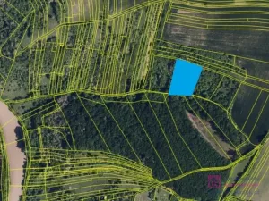 Prodej lesa, Klobouky u Brna, 4858 m2