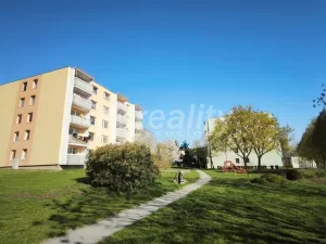 Pronájem bytu 2+1, Náměšť nad Oslavou, Jiráskova, 55 m2