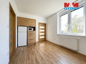 Pronájem bytu 1+1, Poděbrady, Palachova, 35 m2