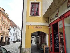 Pronájem bytu 1+1, České Budějovice, Dr. Stejskala, 59 m2