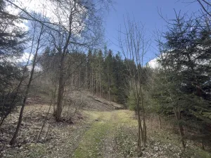 Prodej louky, Výprachtice, 9974 m2
