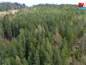 Prodej lesa, Mrákotín, 7873 m2