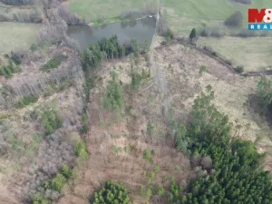 Prodej lesa, Mrákotín, 7873 m2