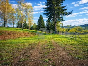 Prodej zahrady, Horní Bečva, 770 m2