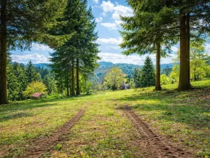 Prodej zahrady, Horní Bečva, 770 m2
