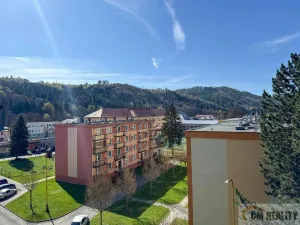 Prodej bytu 2+1, Hanušovice, Příčná, 50 m2