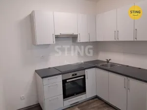 Pronájem bytu 1+1, Ostrava, Havířská, 45 m2