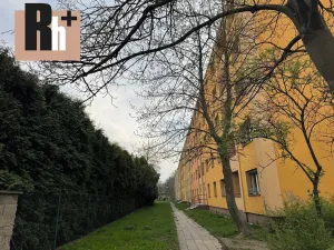 Prodej bytu 2+1, Ostrava, U Lesa, 52 m2