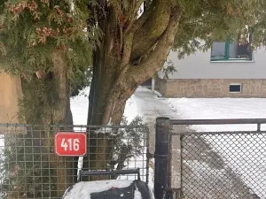 Dražba rodinného domu, Stará Ves nad Ondřejnicí, U Jezu, 260 m2