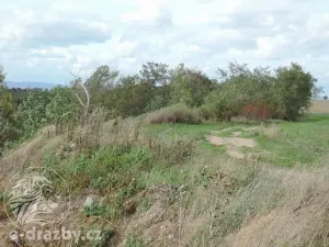 Dražba pozemku, Žatec, 264996 m2