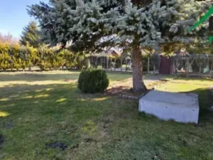 Prodej zahrady, Tachov, 393 m2