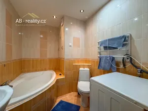 Pronájem bytu 2+kk, Teplice, Habrová, 43 m2