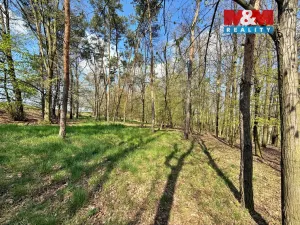 Prodej lesa, Mochov, 4629 m2