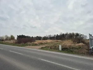 Prodej komerčního pozemku, Doksy, Karlovarská, 2917 m2