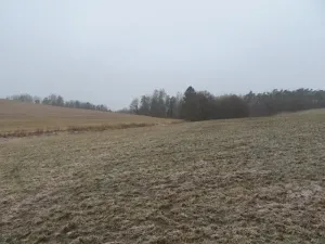 Dražba rodinného domu, Teplýšovice, 563 m2