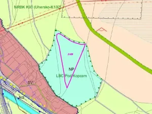 Dražba louky, Linhartice, 9269 m2