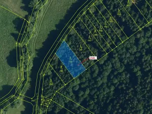 Dražba lesa, Chotěbudice, 774 m2