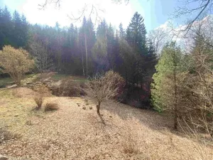 Dražba zahrady, Rokytnice v Orlických horách, 858 m2