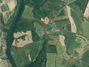 Dražba louky, Hluboká nad Vltavou, 3163 m2