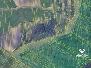 Prodej podílu pole, Bošovice, 516 m2