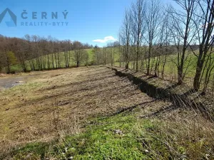 Prodej pozemku pro bydlení, Dlouhý Most, 3625 m2