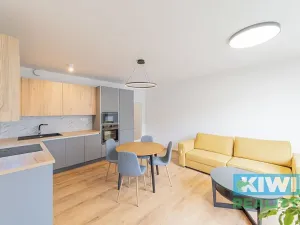 Pronájem bytu 2+kk, Ostrava, Důlní, 58 m2