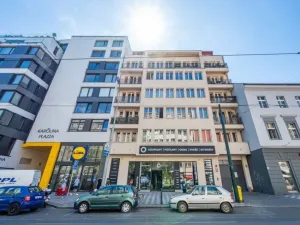 Prodej bytu 3+kk, Praha - Karlín, Sokolovská, 110 m2