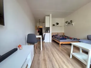 Prodej bytu 1+kk, Brno, Žebětínská, 31 m2