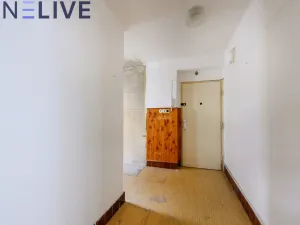 Prodej bytu 2+1, Plzeň, Mánesova, 56 m2