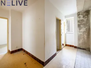 Prodej bytu 2+1, Plzeň, Mánesova, 56 m2