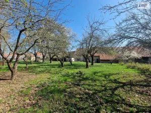 Prodej rodinného domu, Hostomice - Radouš, 300 m2