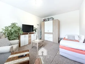 Prodej bytu 1+1, Děčín, Želenická, 36 m2