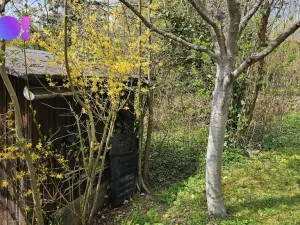 Prodej zahrady, Vsetín, 376 m2