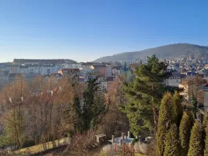 Pronájem bytu 1+1, Ústí nad Labem - Ústí nad Labem-centrum, Koněvova, 52 m2