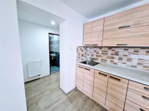 Pronájem bytu 1+1, Ústí nad Labem - Ústí nad Labem-centrum, Koněvova, 52 m2