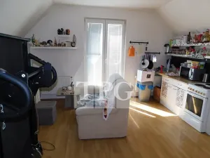 Prodej vícegeneračního domu, Mochov, 296 m2