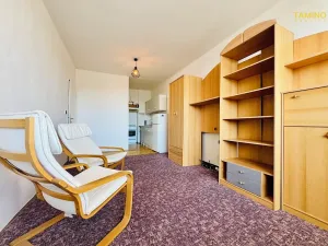 Pronájem bytu 2+kk, Třebíč, Velkomeziříčská, 41 m2