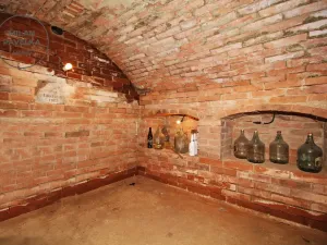 Prodej rodinného domu, Věcov - Odranec, 379 m2