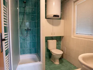 Prodej chaty, Blažejov - Malý Ratmírov, 100 m2