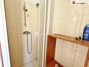 Prodej chalupy, Borovnice, 464 m2