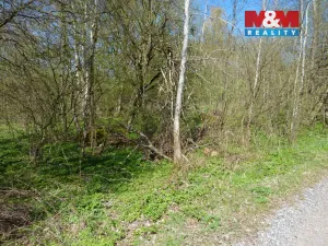 Prodej pozemku pro bydlení, Brzice, 1453 m2