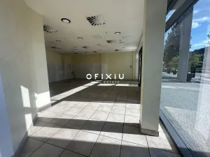 Pronájem obchodního prostoru, Brno, Holandská, 120 m2