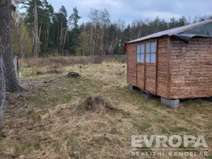 Prodej lesa, Břežany, 2152 m2