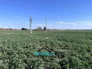 Prodej pozemku, Hulín, 61843 m2