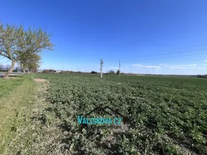 Prodej pozemku, Hulín, 61843 m2