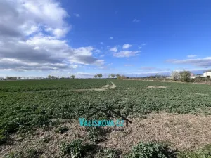 Prodej pozemku, Hulín, 61843 m2