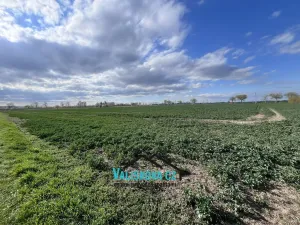 Prodej pozemku, Hulín, 61843 m2