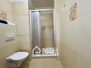 Prodej bytu 1+1, Olomouc, Nešporova, 33 m2