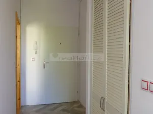 Prodej bytu 2+kk, Plzeň - Východní Předměstí, Guldenerova, 55 m2