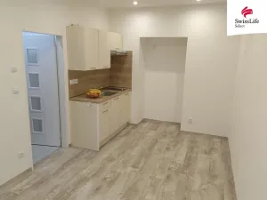 Pronájem bytu 1+kk, Plzeň, Slovanská, 22 m2
